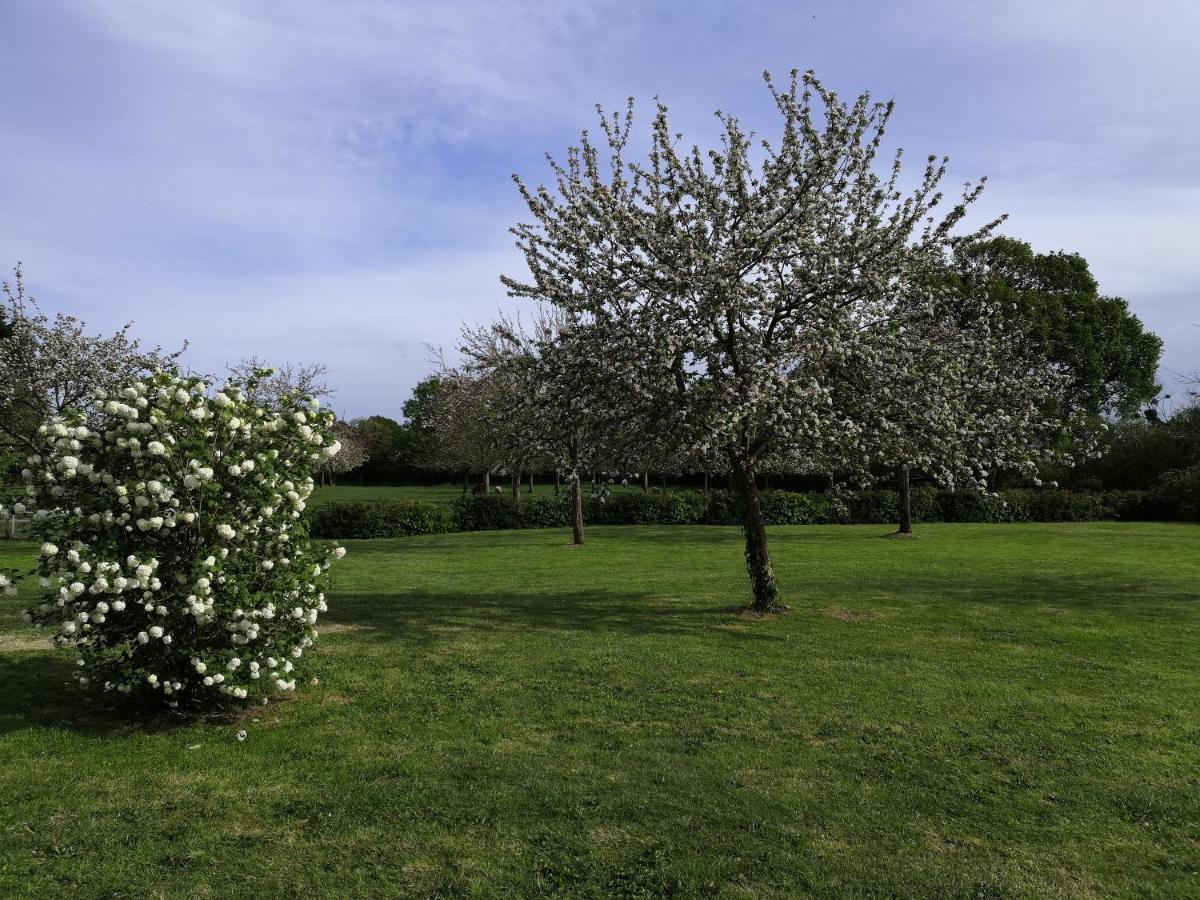La Villa Le 29 Tracy-sur-Mer Dış mekan fotoğraf